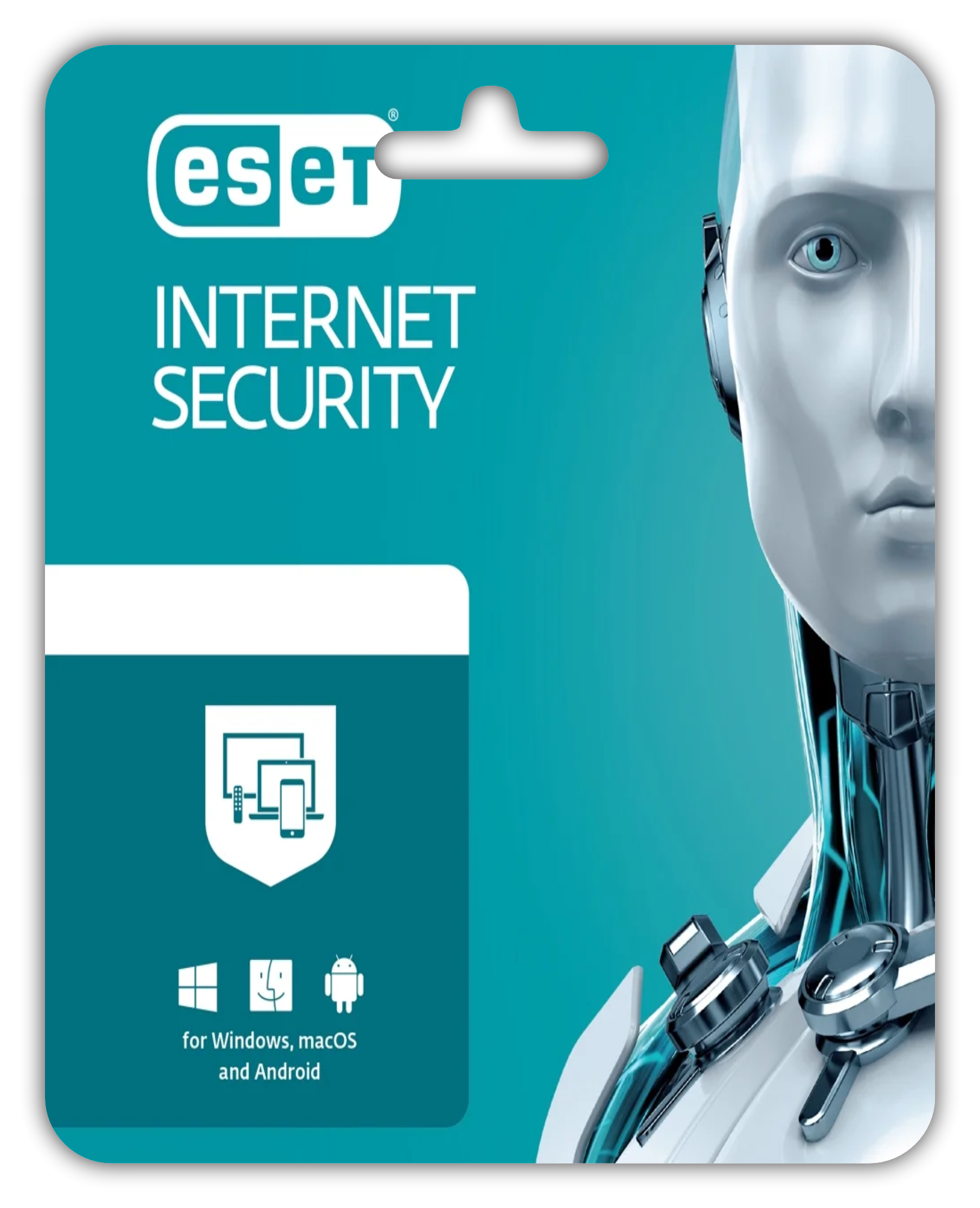 ESET INTERNET SECURITY