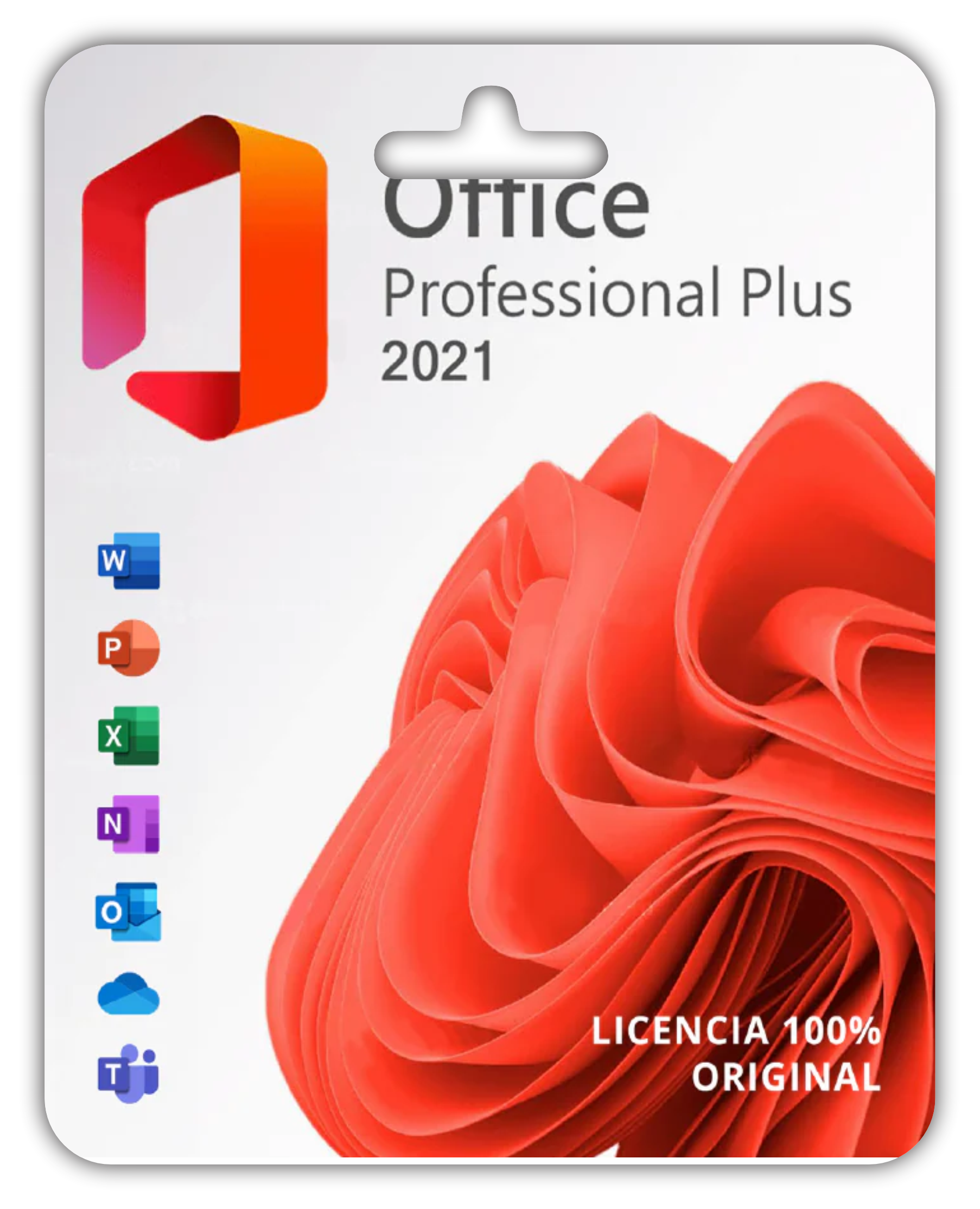 Office pro plus 2021