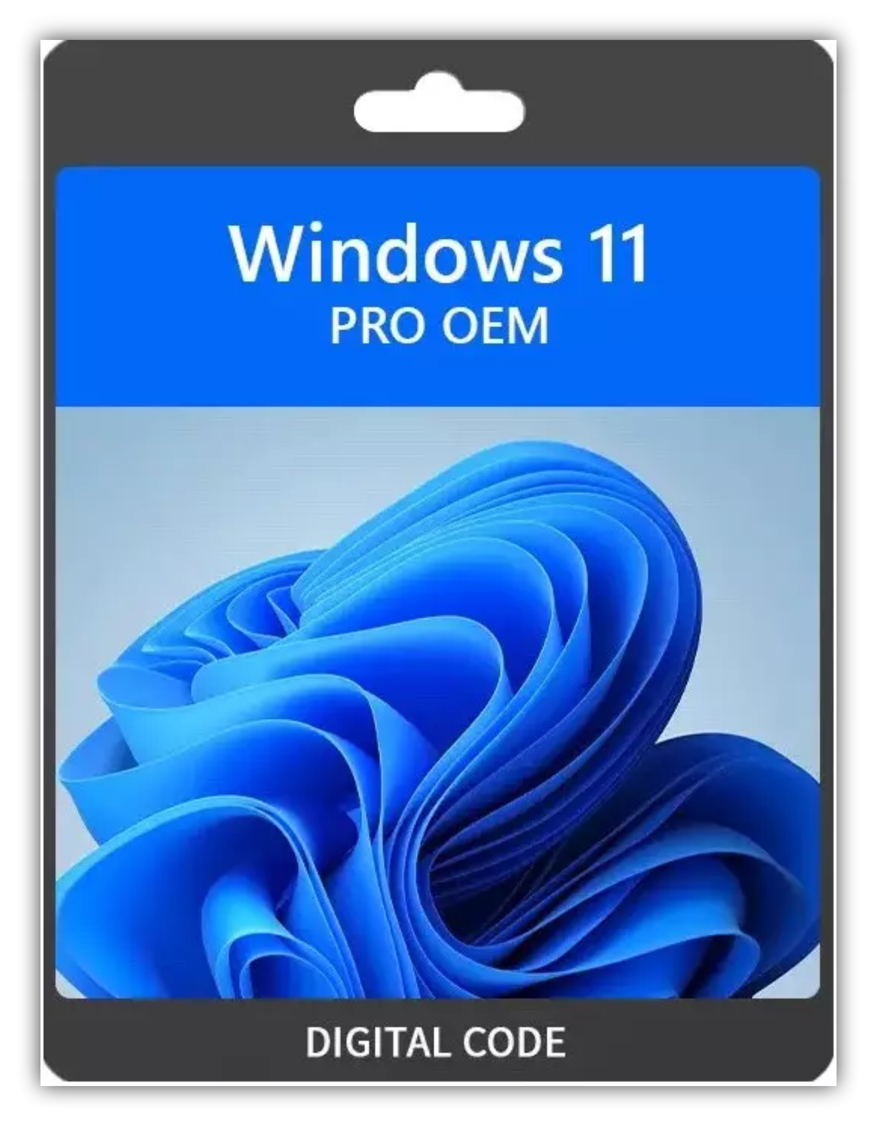 Windows 11 Pro OEM